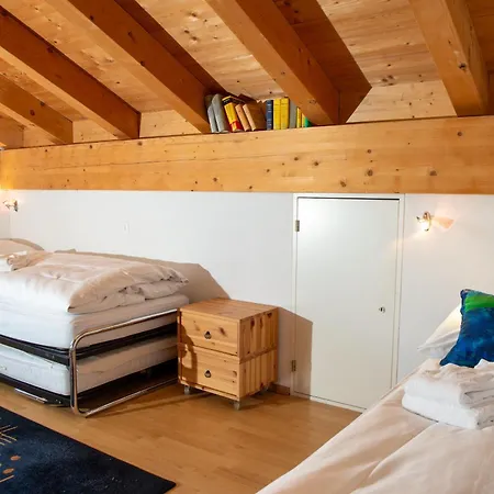 Apartment Cozy Alpine Loft With Fireplace Lenz